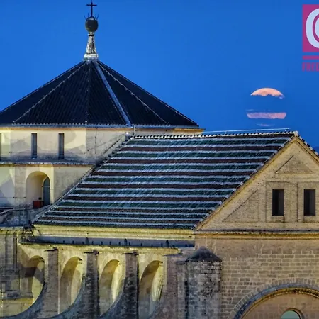 Apartamento Rosmarinus Centro Córdova