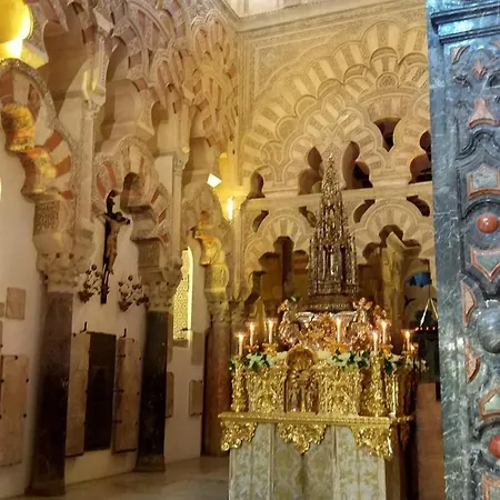 Rosmarinus Centro * Córdoba